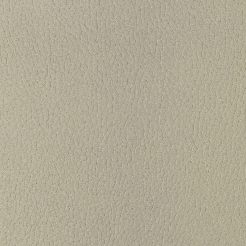 Sugarmaple-1 by Kravet Design Designer Fabric POLYCARBONATE - 100% Japan HEAVY Horizontal: 0 and Vertical: 0 54 - Swanky Fabrics -