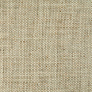 Sumo Sand 213 by Norbar Designer Fabric ARENA 100% POLYESTER INDIA 54" - Swanky Fabrics -