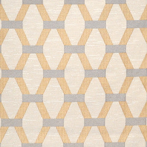 Suplee Coin by Magnolia Designer Fabric