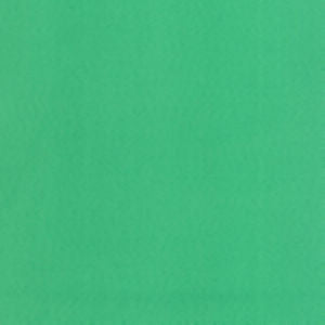 Supra Grass 86 by Norbar Designer Fabric