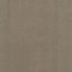 Supra Latte 09 by Norbar Designer Fabric