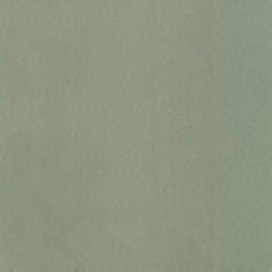 Supra Mint 71 by Norbar Designer Fabric