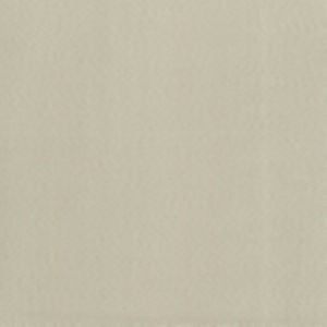Supra Natural 01 by Norbar Designer Fabric SUPRA SUEDE 75% POLYESTER 25% COTTON SPAIN 54" - Swanky Fabrics -