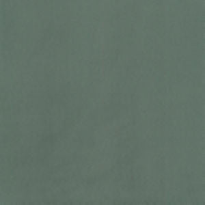 Supra Olive 13 by Norbar Designer Fabric
