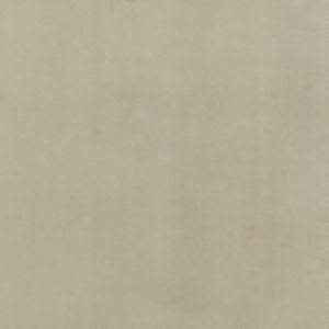 Supra Sand 05 by Norbar Designer Fabric