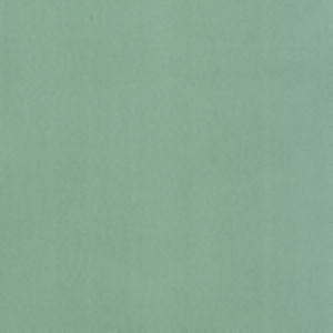 Supra Sprout 60 by Norbar Designer Fabric