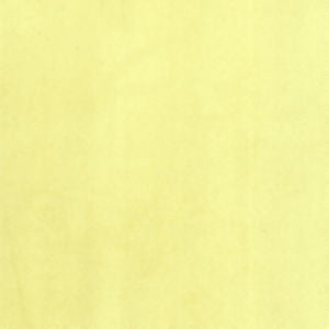 Supra Yellow 38 by Norbar Designer Fabric