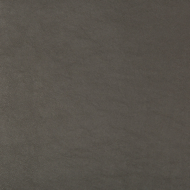 Swaps-21 by Kravet Design Designer Fabric - POLY VINYL CHLORIDE - 79%;POLYESTER - 21% China HEAVY Horizontal: - and Vertical: - 54 - Swanky Fabrics -
