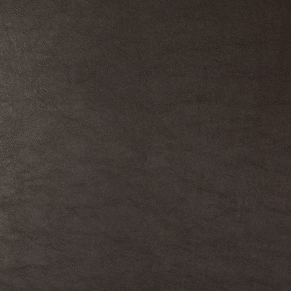 Swaps-66 by Kravet Design Designer Fabric - POLY VINYL CHLORIDE - 79%;POLYESTER - 21% China HEAVY Horizontal: - and Vertical: - 54 - Swanky Fabrics -
