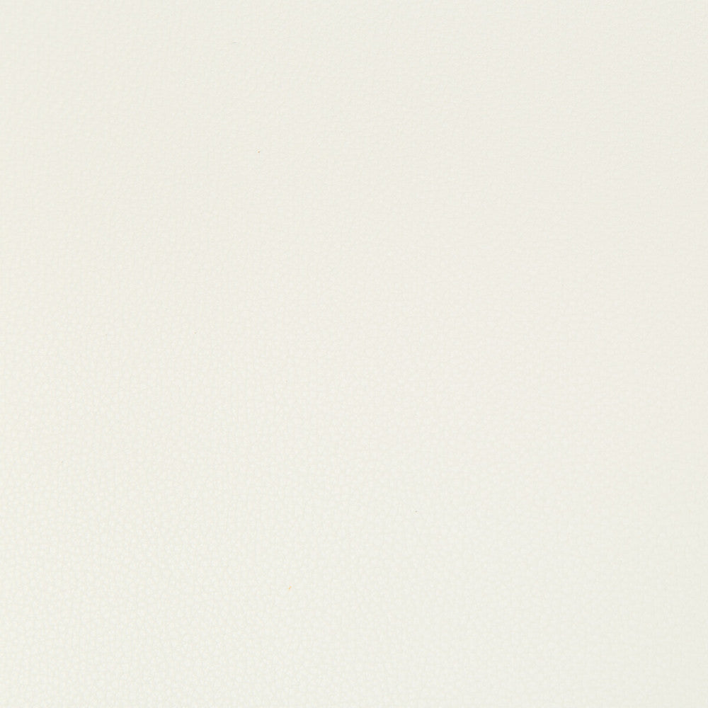 Syrus Gesso by Kravet Contract Designer Fabric - SILICONE - 100% China HEAVY Horizontal: 0 and Vertical: 0 55 - Swanky Fabrics -