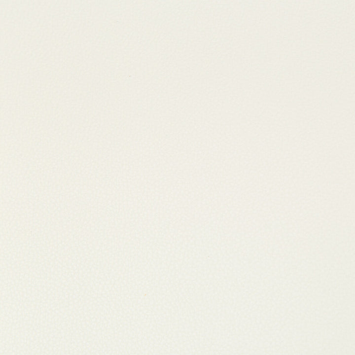 Syrus Gesso by Kravet Contract Designer Fabric - SILICONE - 100% China HEAVY Horizontal: 0 and Vertical: 0 55 - Swanky Fabrics -