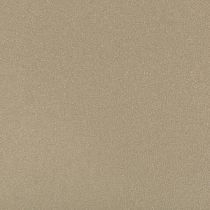 Syrus Elm by Kravet Contract Designer Fabric SILICONE - 100% China HEAVY Horizontal: 0 and Vertical: 0 55 - Swanky Fabrics -