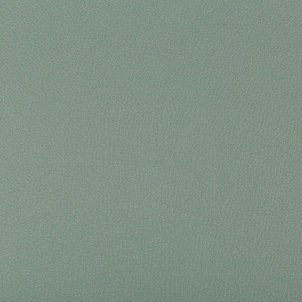 Syrus Herbal by Kravet Contract Designer Fabric SILICONE - 100% China HEAVY Horizontal: 0 and Vertical: 0 55 - Swanky Fabrics -
