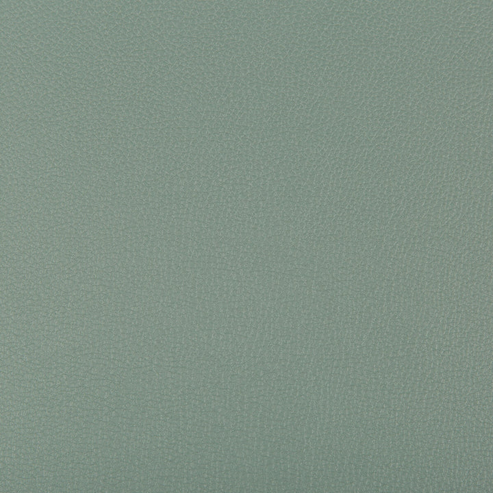 Syrus Herbal by Kravet Contract Designer Fabric SILICONE - 100% China HEAVY Horizontal: 0 and Vertical: 0 55 - Swanky Fabrics -