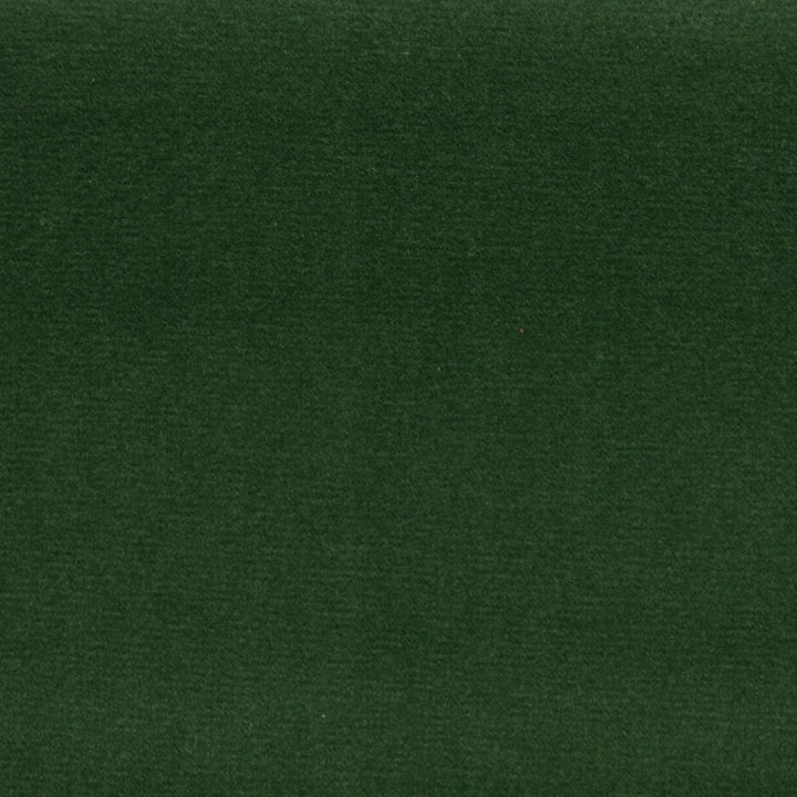 Sahara Boxwood by Europatex Designer Fabric Sahara 100% Polyester China 50,000 Double Rubs Horizontal: N/A and Vertical: N/A 56" - Swanky Fabrics -