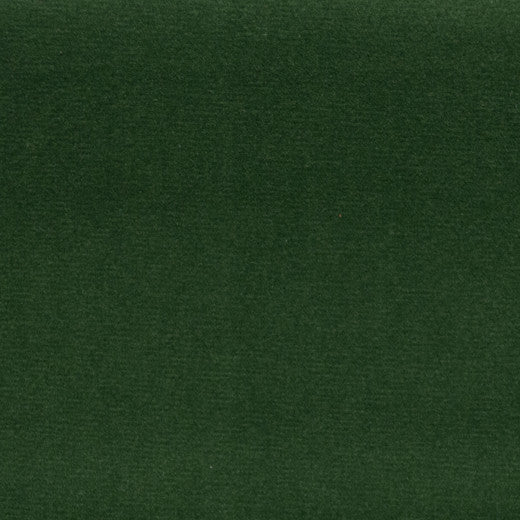 Sahara - Boxwood by Europatex Designer Fabric Sahara 100% Polyester China See Sample Horizontal: N/A and Vertical: N/A 57.00 inches  - Swanky Fabrics -