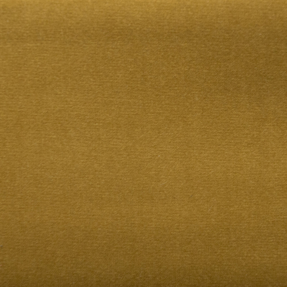 Sahara Lion by Europatex Designer Fabric Sahara 100% Polyester China 50,000 Double Rubs Horizontal: N/A and Vertical: N/A 56" - Swanky Fabrics -