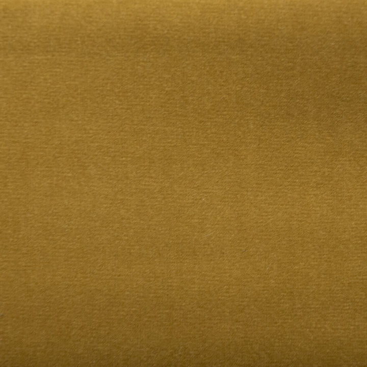 Sahara Lion by Europatex Designer Fabric Sahara 100% Polyester China 50,000 Double Rubs Horizontal: N/A and Vertical: N/A 56" - Swanky Fabrics -