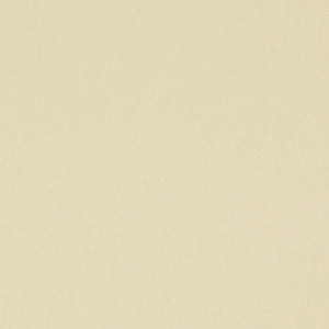 Salinger Canvas WSL-005 by Nassimi Designer Fabric