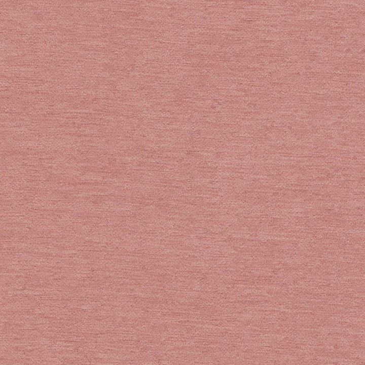 Samson Dusty Rose by Europatex Designer Fabric Samson 100% Polyester 0.00" 55.00 inches - Swanky Fabrics -