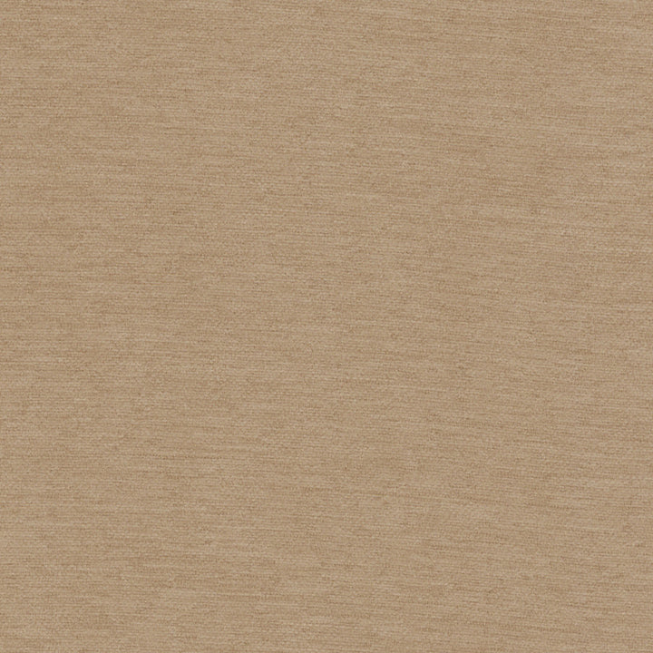 Samson Latte by Europatex Designer Fabric Samson 100% Polyester 0.00" 55.00 inches - Swanky Fabrics -