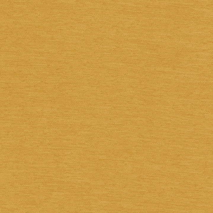 Samson Mustard by Europatex Designer Fabric Samson 100% Polyester 0.00" 55.00 inches - Swanky Fabrics -