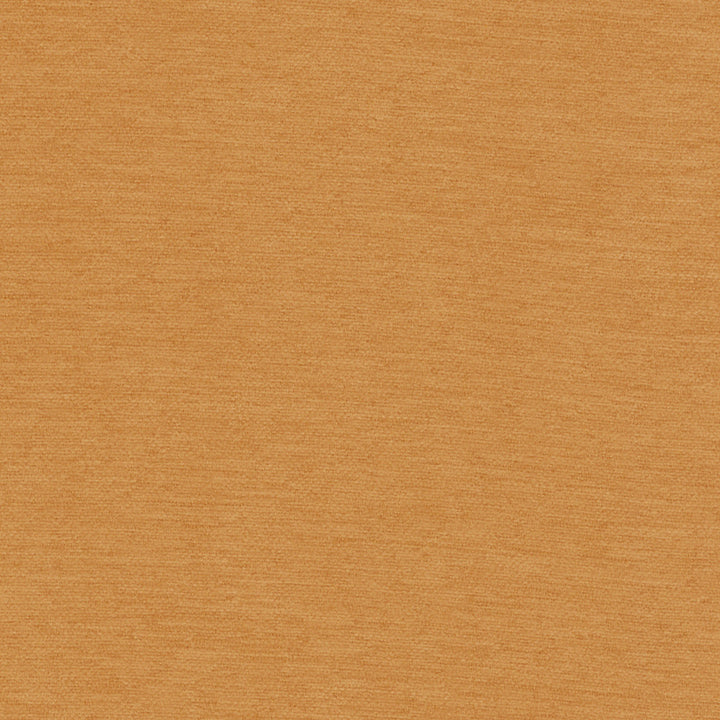 Samson Spice by Europatex Designer Fabric Samson 100% Polyester 0.00" 55.00 inches - Swanky Fabrics -