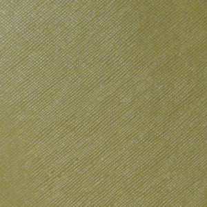 Savanna Green Tea by Nassimi Designer Fabric