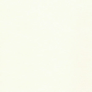 Savoy Dove White by Spradling Designer Fabric