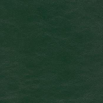 Savoy Evergreen SAV-9761 by Spradling Designer Fabric See sample 100% Vinyl USA or Imported Water-based cleaning agents and foam may be used for cleaning. Cleaning by a professional cleaning service is recommended.  54  - Swanky Fabrics -
