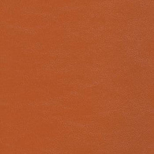 Savoy Tumeric by Spradling Designer Fabric