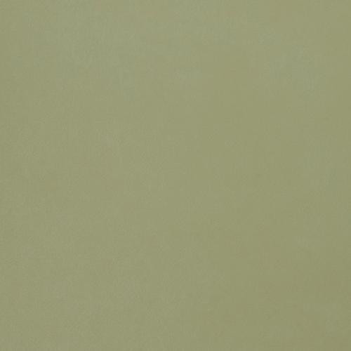 Seduction Pistachio SSE-018 by Nassimi Designer Fabric our website for purchase 100% Vinyl USA or Asia Water-based cleaning agents and foam may be used for cleaning. This fabric may also be cleaned with mild, water-free solvents. Cleaning by a professional cleaning service is recommended. Horizontal: - and Vertical: - 54" - Swanky Fabrics -