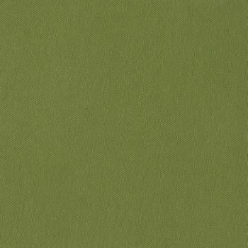 Silvertex Basil STX-8820 by Spradling Designer Fabric our website for purchase 100% Vinyl USA or Asia Water-based cleaning agents and foam may be used for cleaning. This fabric may also be cleaned with mild, water-free solvents. Cleaning by a professional cleaning service is recommended. Horizontal: - and Vertical: - 54" - Swanky Fabrics -