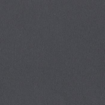 Silvertex Carbon STX-8823 by Spradling Designer Fabric our website for purchase 100% Vinyl USA or Asia Water-based cleaning agents and foam may be used for cleaning. This fabric may also be cleaned with mild, water-free solvents. Cleaning by a professional cleaning service is recommended. Horizontal: - and Vertical: - 54" - Swanky Fabrics -