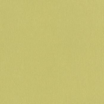 Silvertex Celery STX-8819 by Spradling Designer Fabric our website for purchase 100% Vinyl USA or Asia Water-based cleaning agents and foam may be used for cleaning. This fabric may also be cleaned with mild, water-free solvents. Cleaning by a professional cleaning service is recommended. Horizontal: - and Vertical: - 54" - Swanky Fabrics -