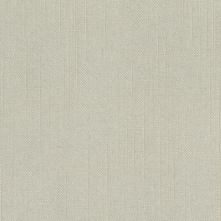 Sombre Sooty Kelp by Europatex Designer Fabric Sombre 100% Polyester 0.00 55.00 inches - Swanky Fabrics -