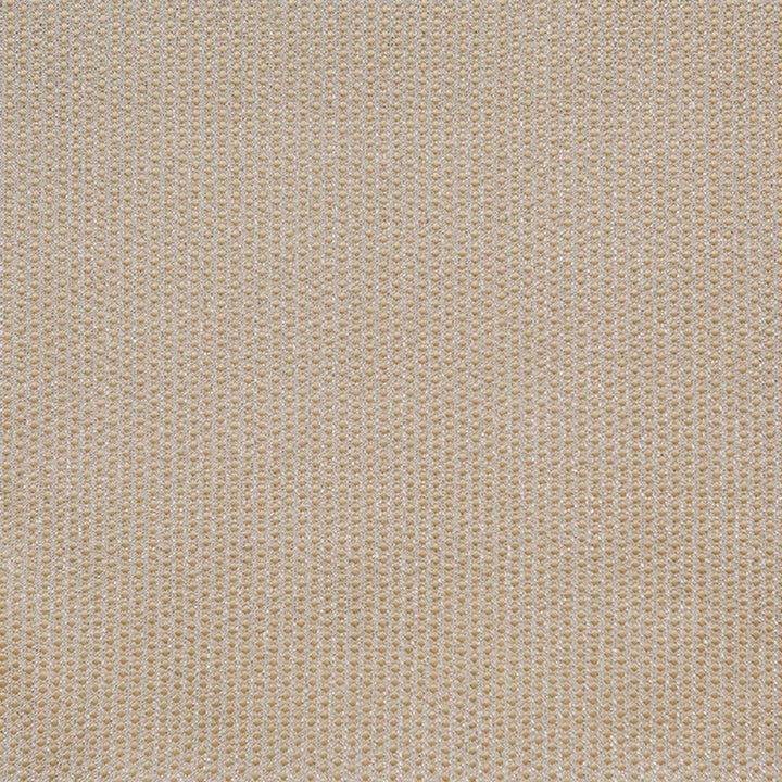 Spectacular B Cream by Europatex Designer Fabric Spectacular 100% Polyester 0.40" H, 0.20" V 110.00 inches - Swanky Fabrics -