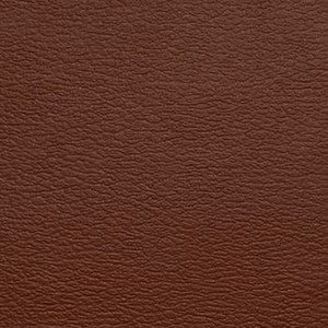 Spirit Millennium Gingersnap by Naugahyde Designer Fabric
