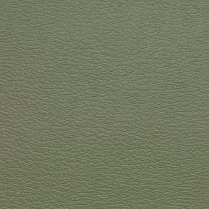 Spirit Millennium Sage by Naugahyde Designer Fabric