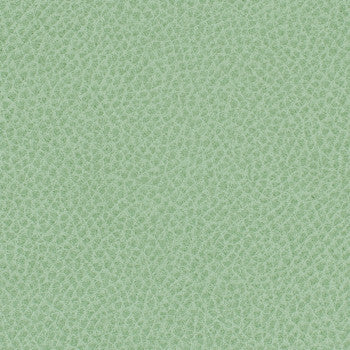 Steinbeck Aloe by Nassimi Designer Fabric See sample 95% Polyurethane (Polycarbonate)5% Silicone  300000 Horizontal: Not Applicable and Vertical: Not Applicable 54"  - Swanky Fabrics -