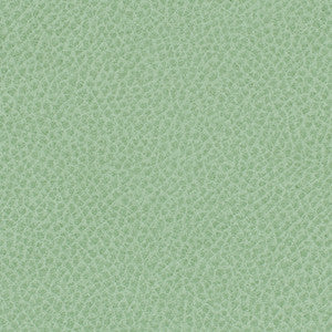 Steinbeck Aloe by Nassimi Designer Fabric