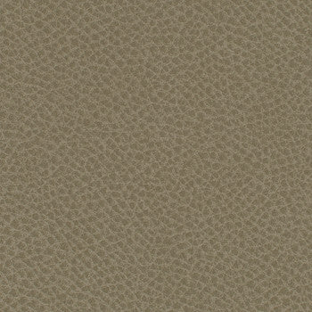 Steinbeck Barley by Nassimi Designer Fabric See sample 95% Polyurethane (Polycarbonate)5% Silicone  300000 Horizontal: Not Applicable and Vertical: Not Applicable 54"  - Swanky Fabrics -