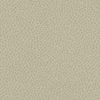 Steinbeck Crater WST-009 by Nassimi Designer Fabric See sample 95% Polyurethane (Polycarbonate),5% Silicone USA or Imported Water-based cleaning agents and foam may be used for cleaning. Cleaning by a professional cleaning service is recommended.  54  - Swanky Fabrics -