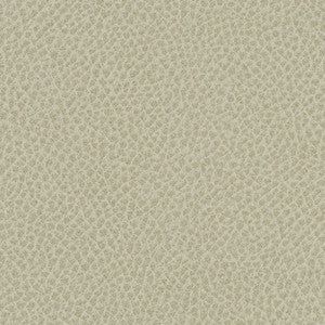 Steinbeck Crater by Nassimi Designer Fabric