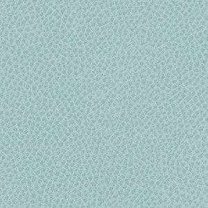 Steinbeck Geyser by Nassimi Designer Fabric