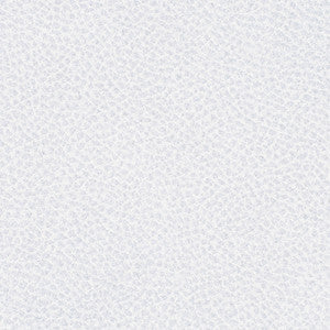 Steinbeck Iceberg by Nassimi Designer Fabric