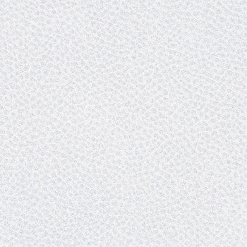 Steinbeck Iceberg by Nassimi Designer Fabric See sample 95% Polyurethane (Polycarbonate)5% Silicone  300000 Horizontal: Not Applicable and Vertical: Not Applicable 54"  - Swanky Fabrics -