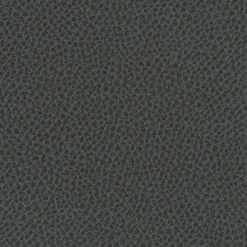 Steinbeck Iron WST-015 by Nassimi Designer Fabric See sample 95% Polyurethane (Polycarbonate),5% Silicone USA or Imported Water-based cleaning agents and foam may be used for cleaning. Cleaning by a professional cleaning service is recommended.  54  - Swanky Fabrics -
