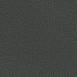 Steinbeck Iron by Nassimi Designer Fabric