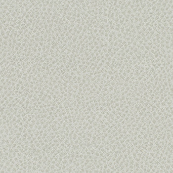 Steinbeck Nebulous by Nassimi Designer Fabric See sample 95% Polyurethane (Polycarbonate)5% Silicone  300000 Horizontal: Not Applicable and Vertical: Not Applicable 54"  - Swanky Fabrics -